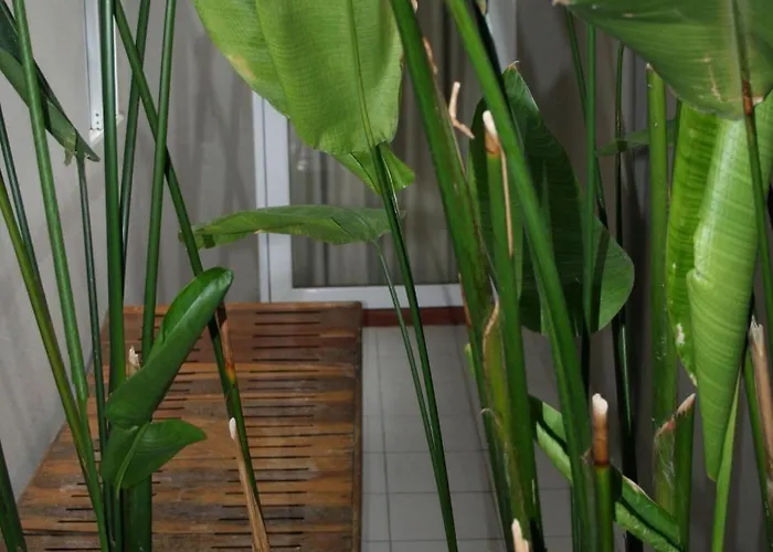Sabye 3* Bangkok